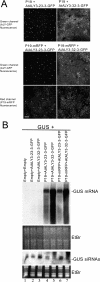 FIG. 5.