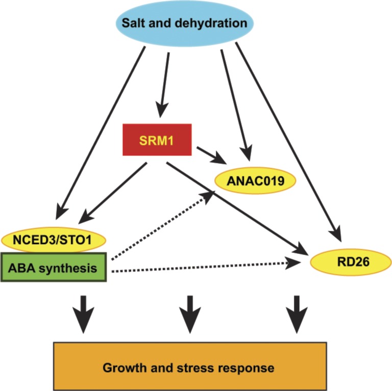 Figure 7.