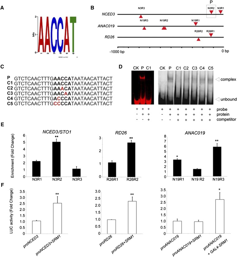 Figure 6.