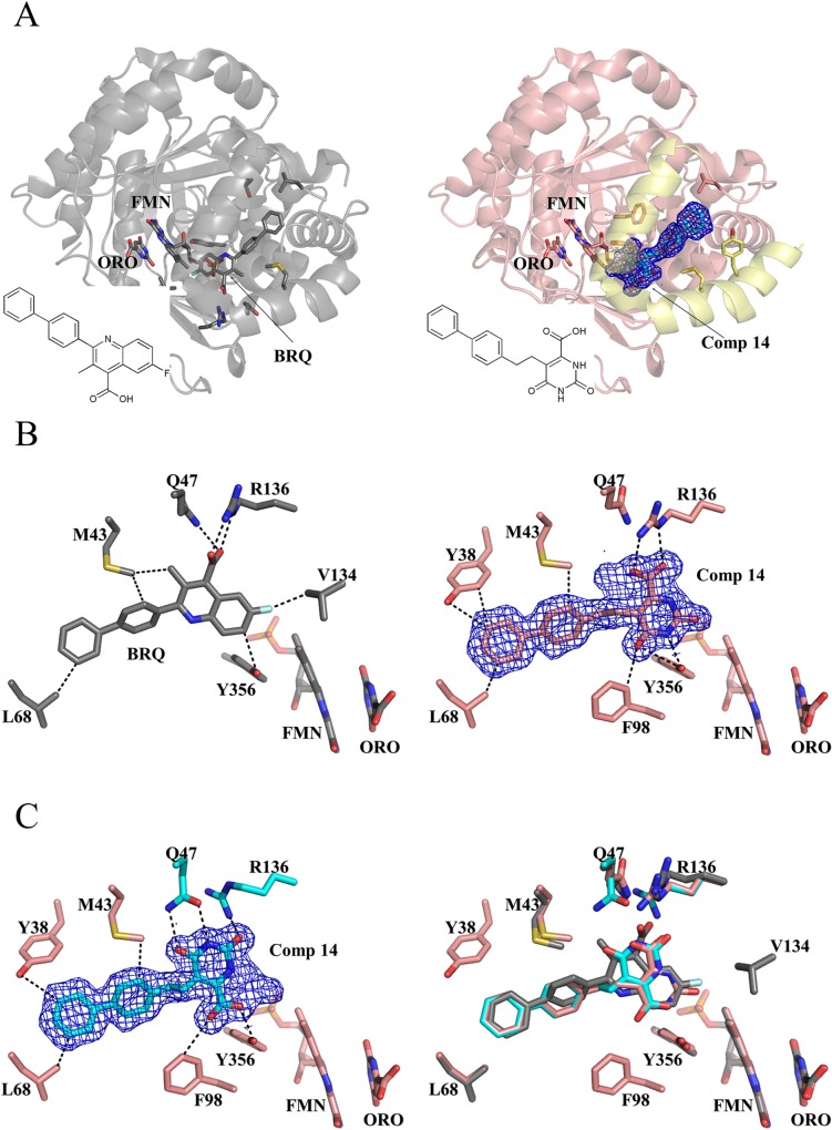 Fig 6