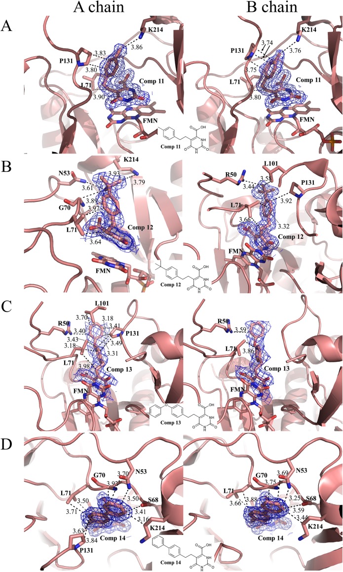 Fig 5