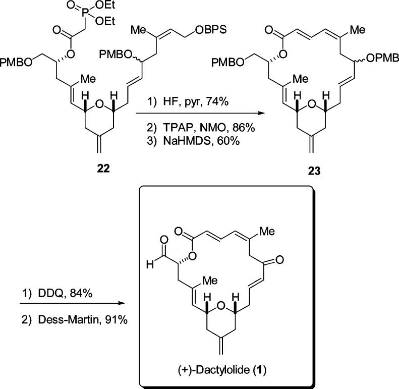 Scheme 6