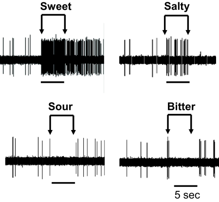 Fig. 10.