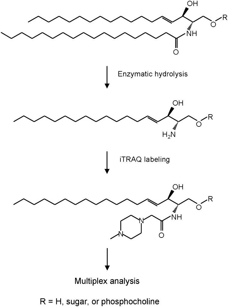 Fig. 1.