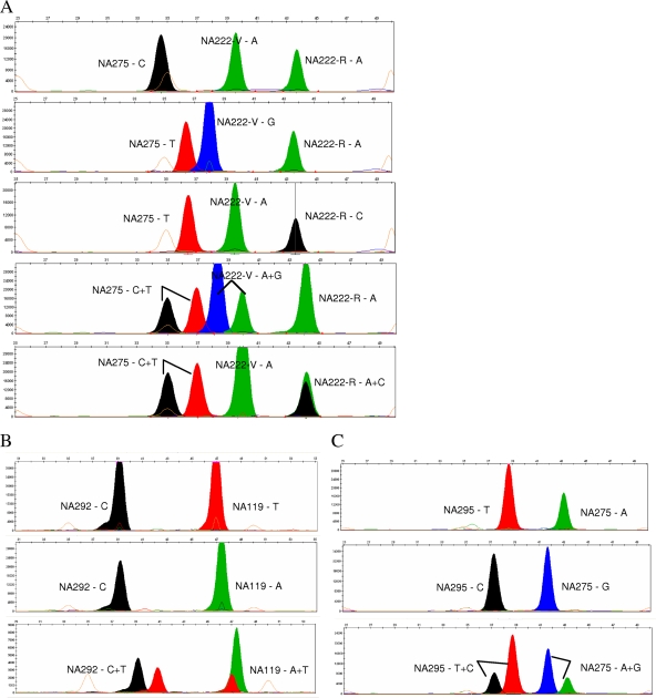 Fig. 2.