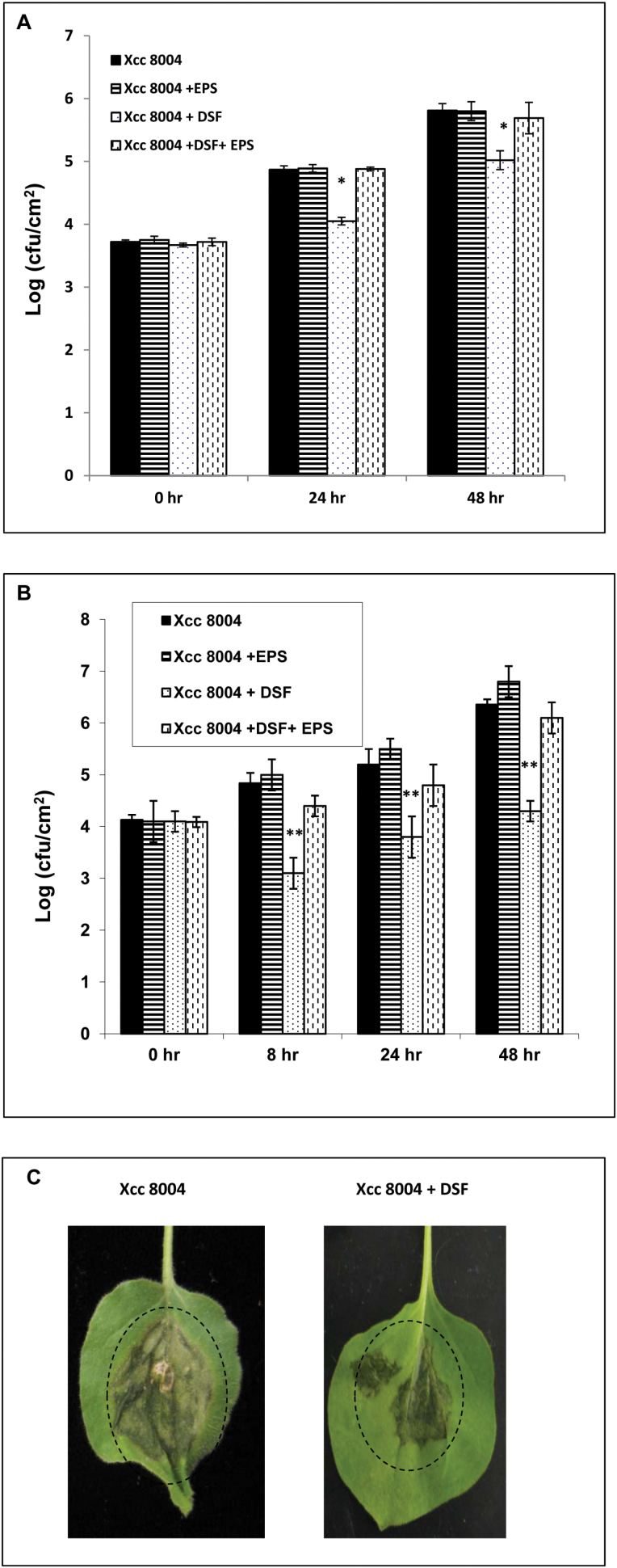 Fig. 8.