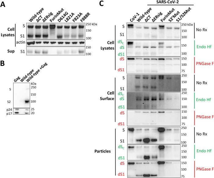 FIG 3