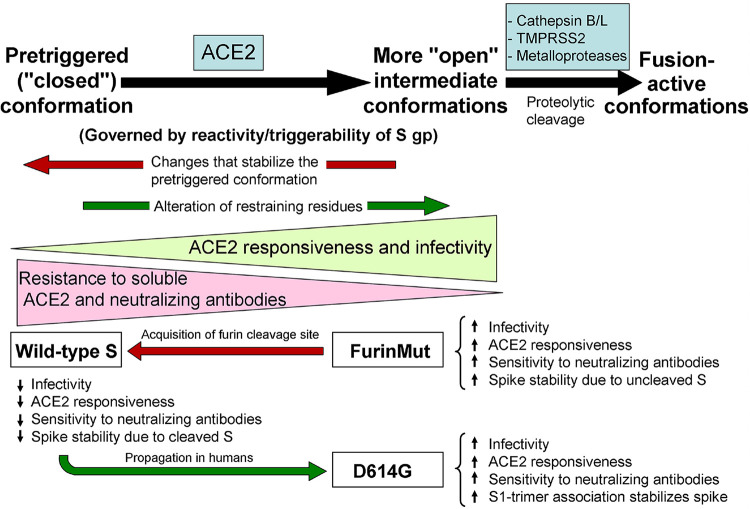 FIG 11