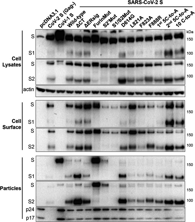 FIG 2