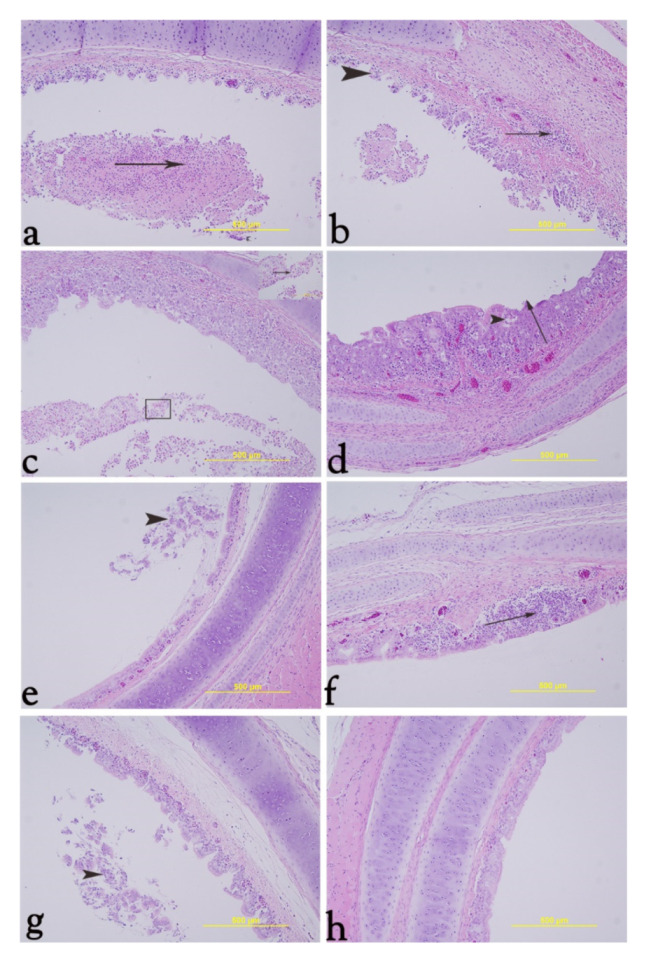 Figure 9