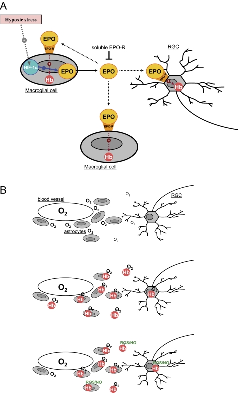 Figure 7.