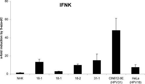 Fig. 7.