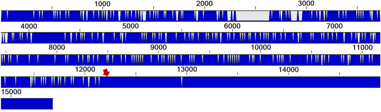 FIG 3