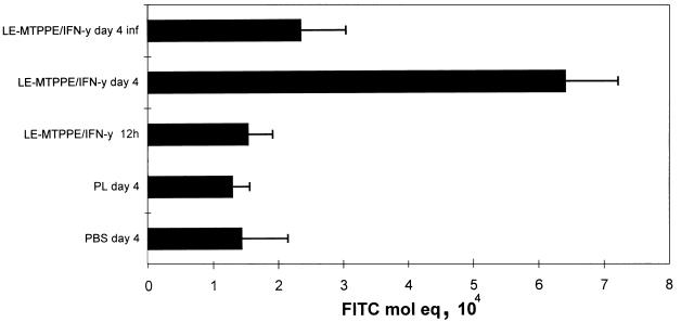 FIG. 7