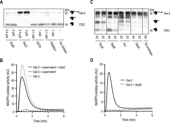 FIG 2