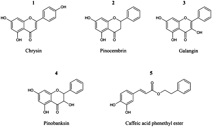 Fig. 1