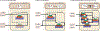 Figure 5: