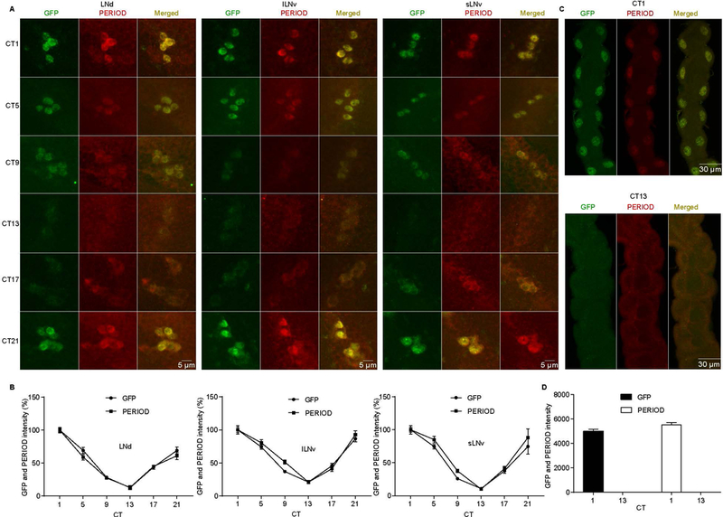 Figure 4.