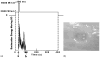 FIG. 9