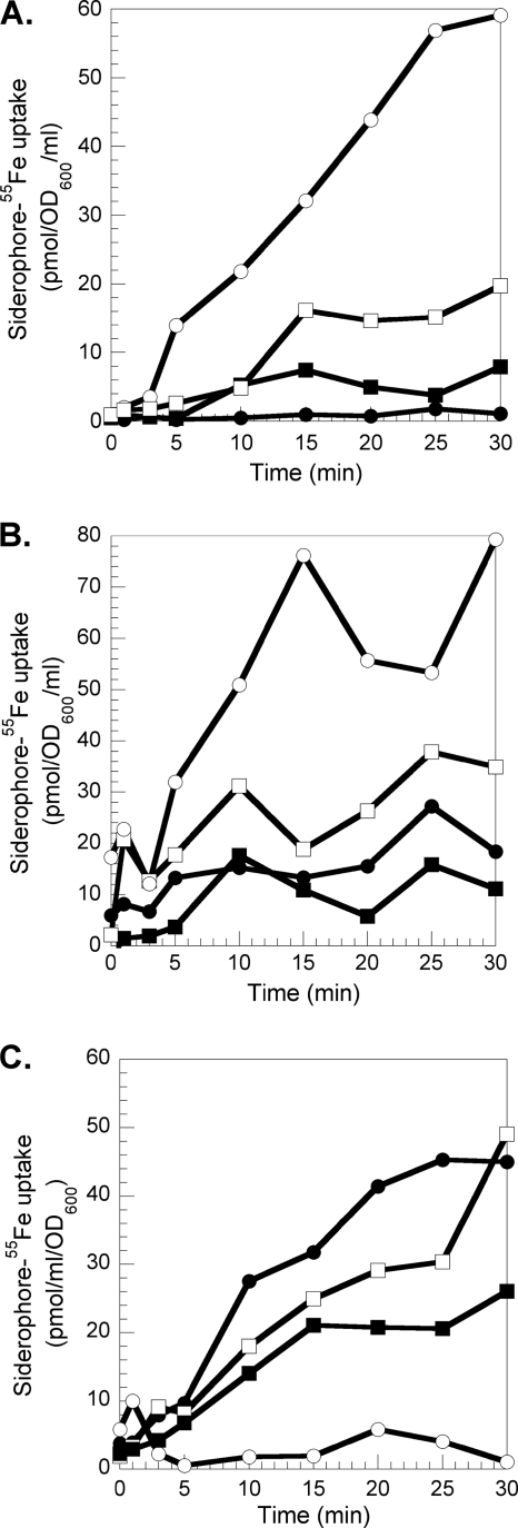 FIG. 2.