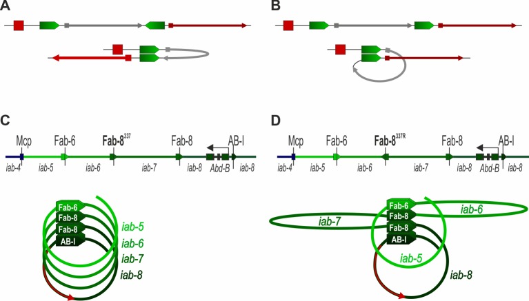 Fig 8