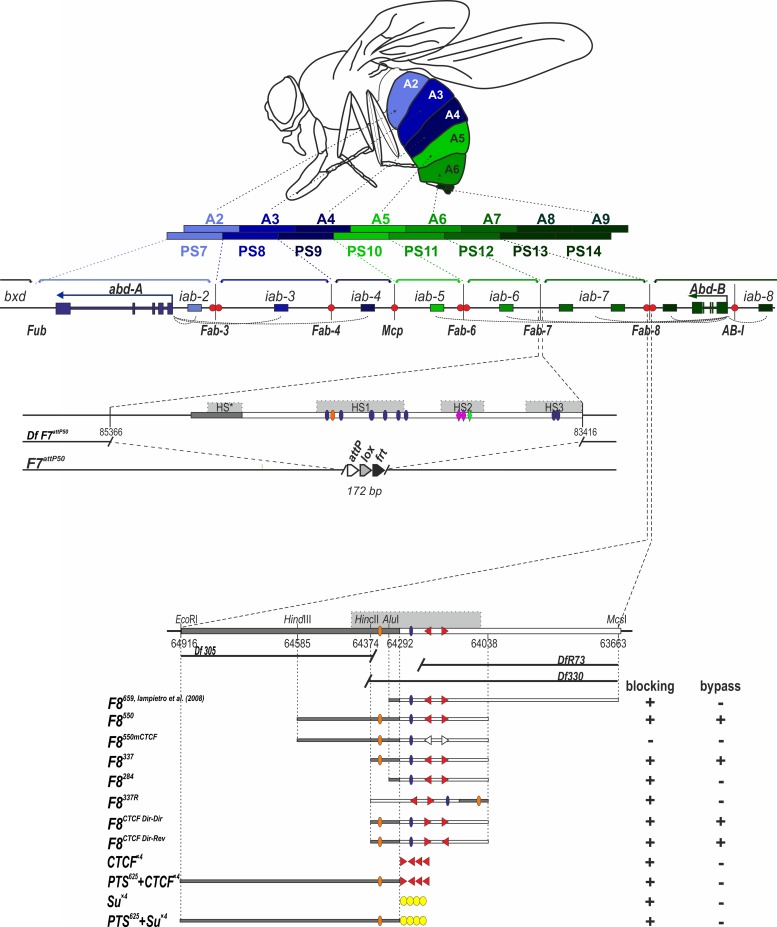 Fig 1