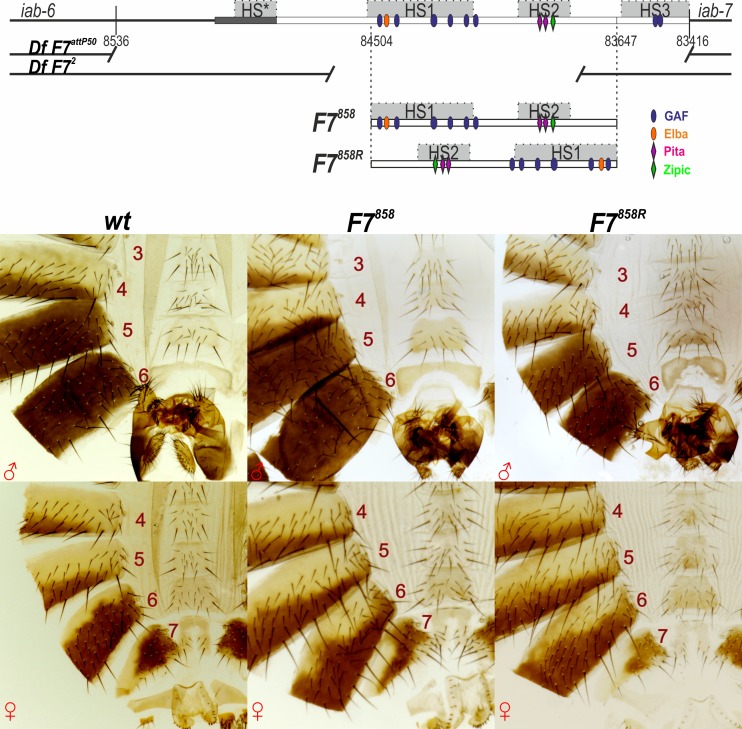 Fig 7