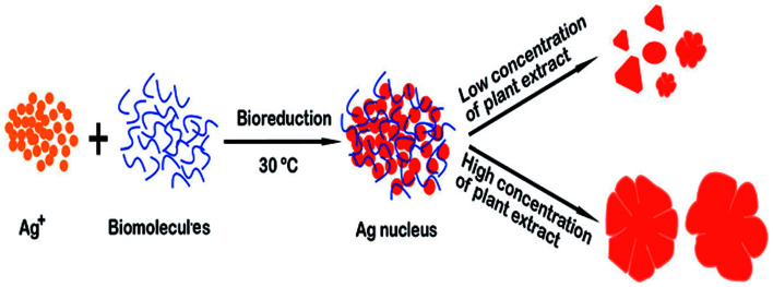 Fig. 11