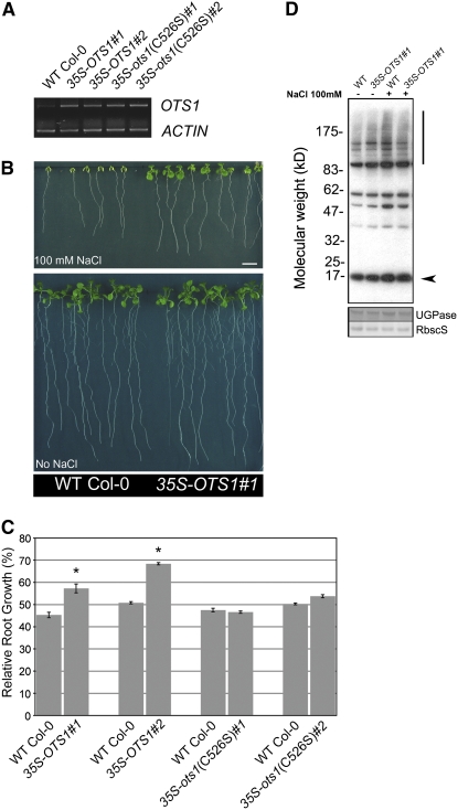 Figure 5.