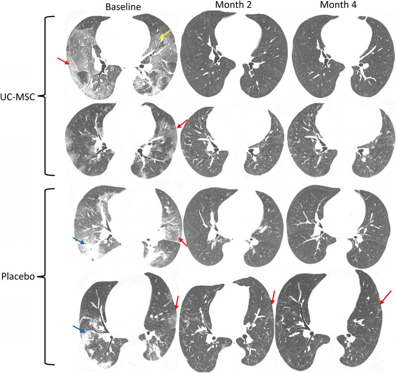 Fig. 8