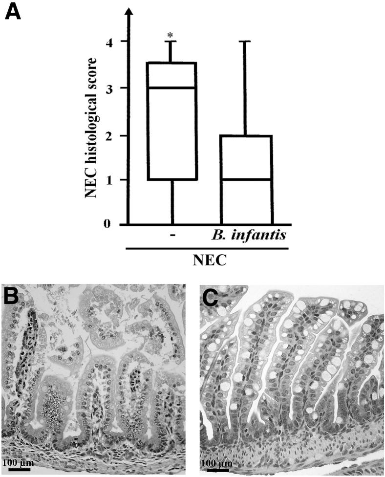 Figure 11