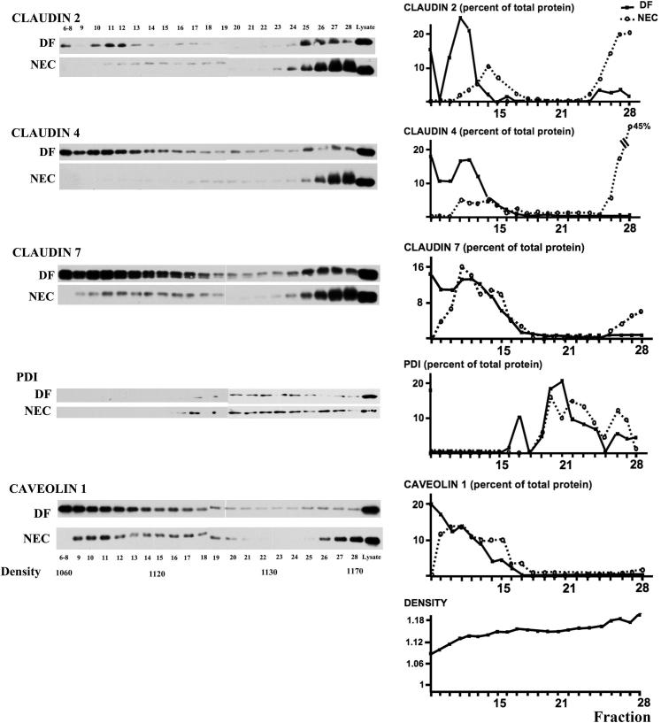 Figure 7