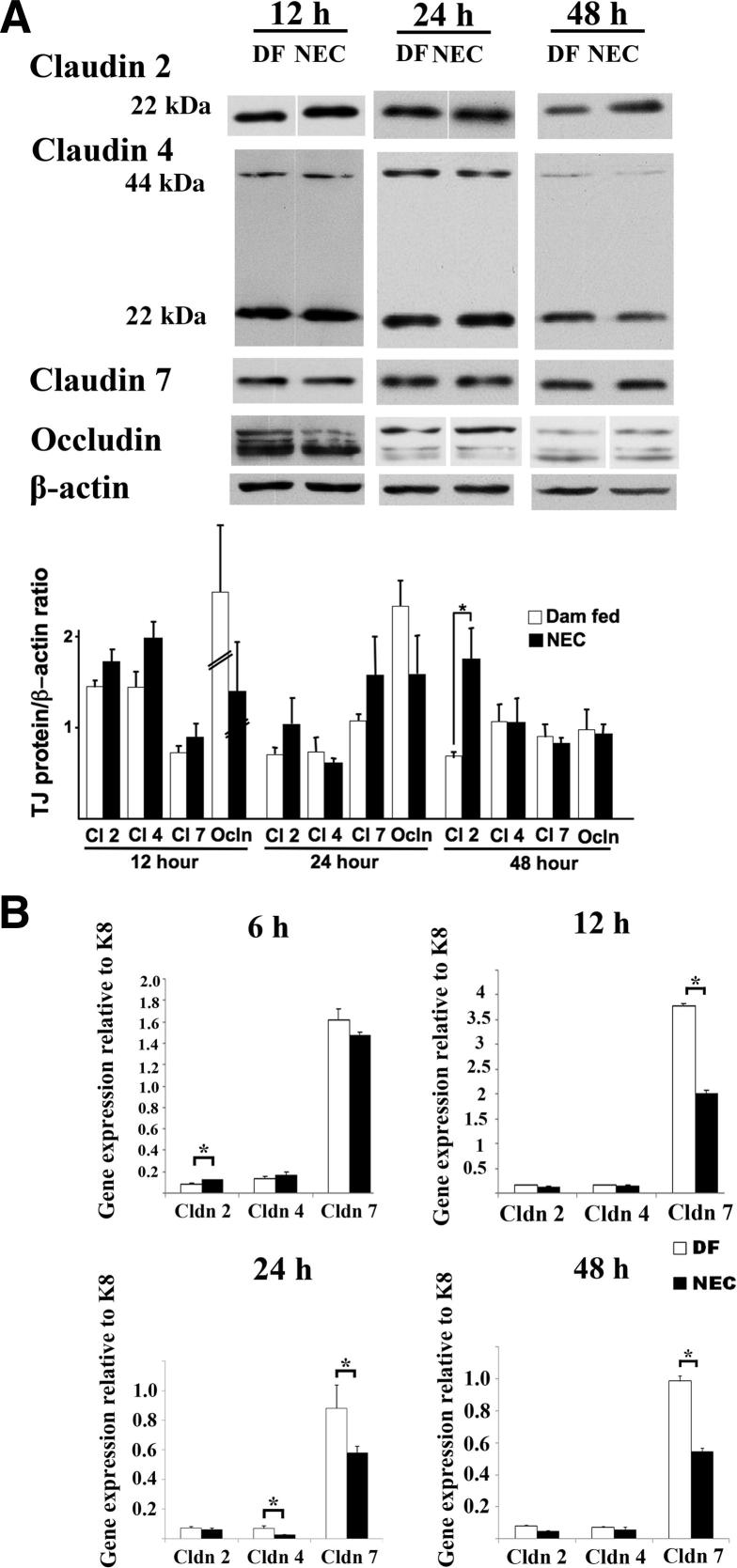 Figure 5