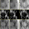 Fig. 3.