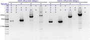 Figure 6.