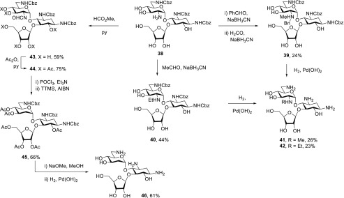 Scheme 5