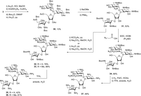 Scheme 4