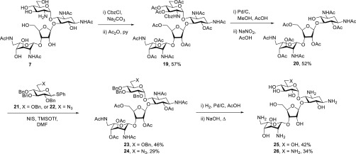 Scheme 2