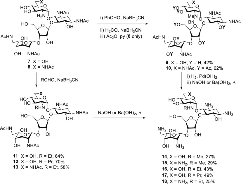 Scheme 1