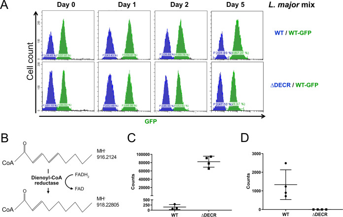 FIG 4