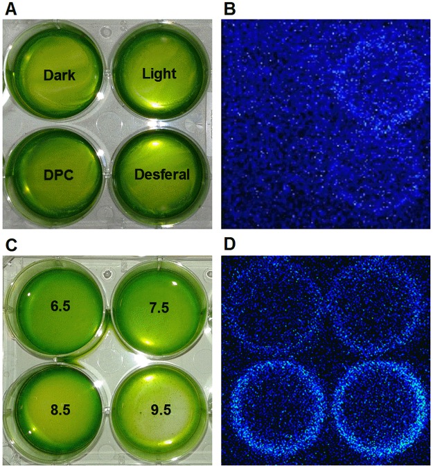 Fig 4