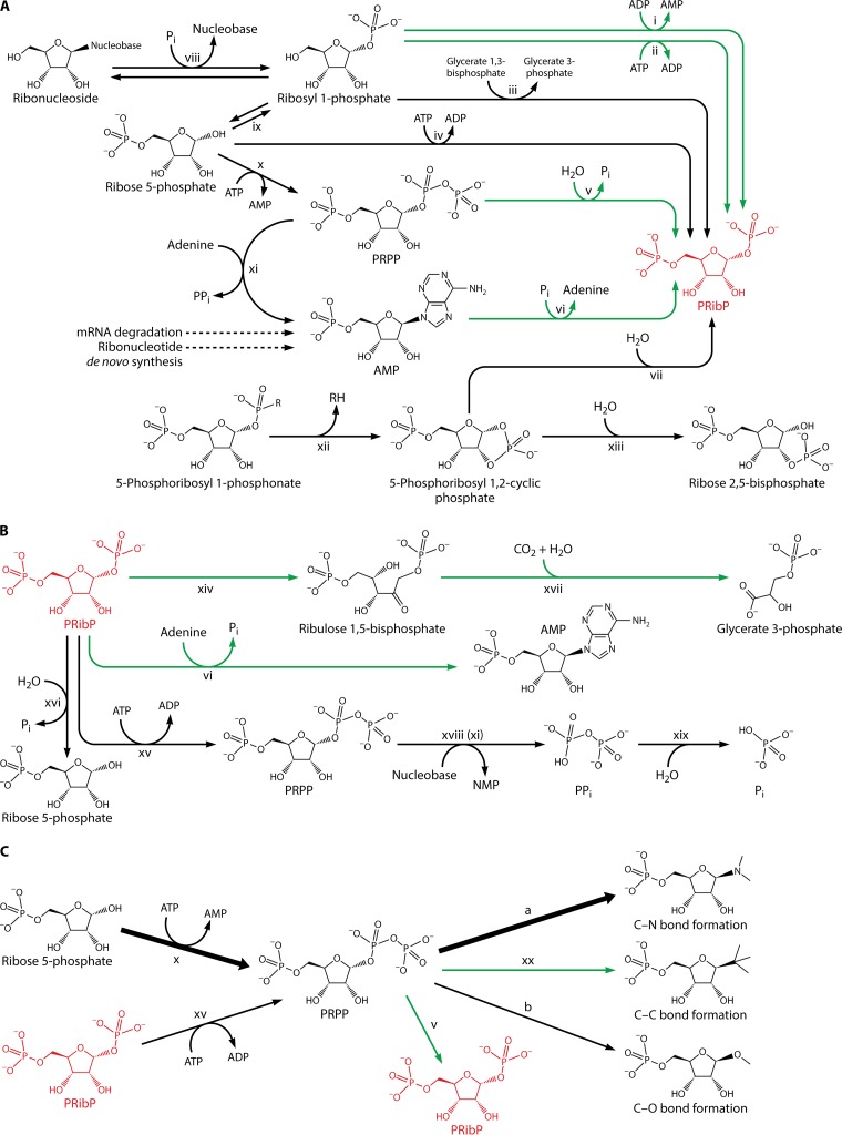 FIG 2