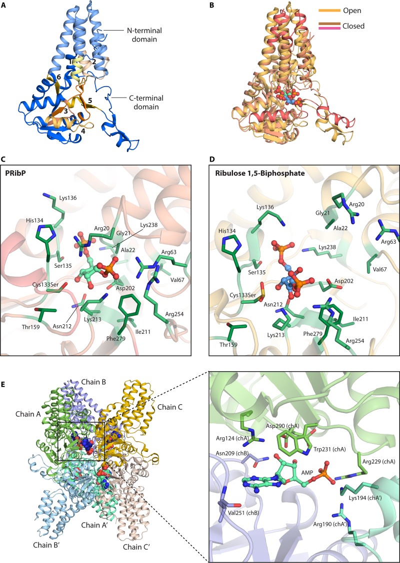 FIG 6