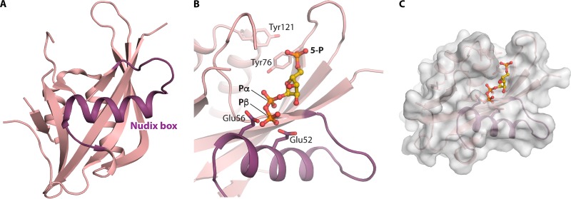 FIG 5