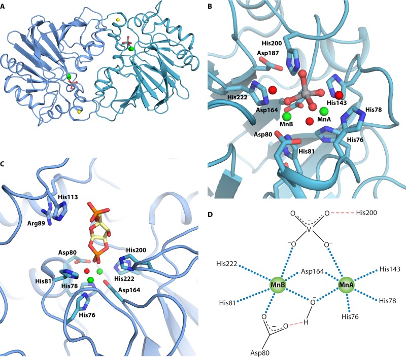 FIG 4