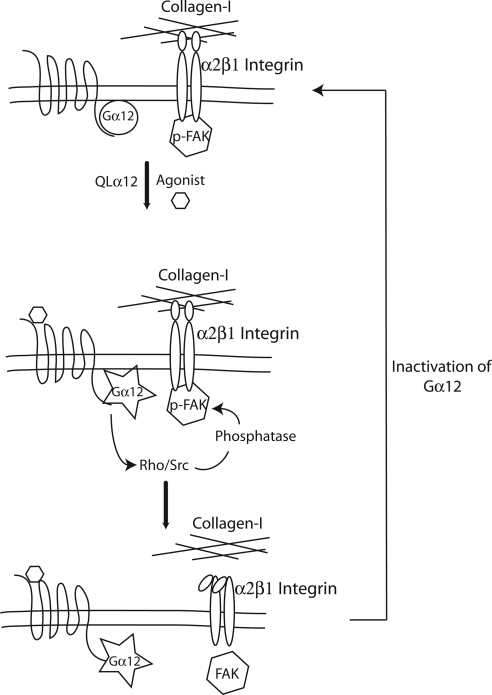 Figure 9.