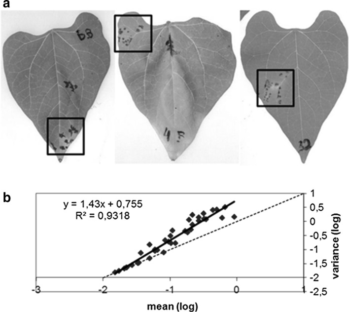 Fig. 3