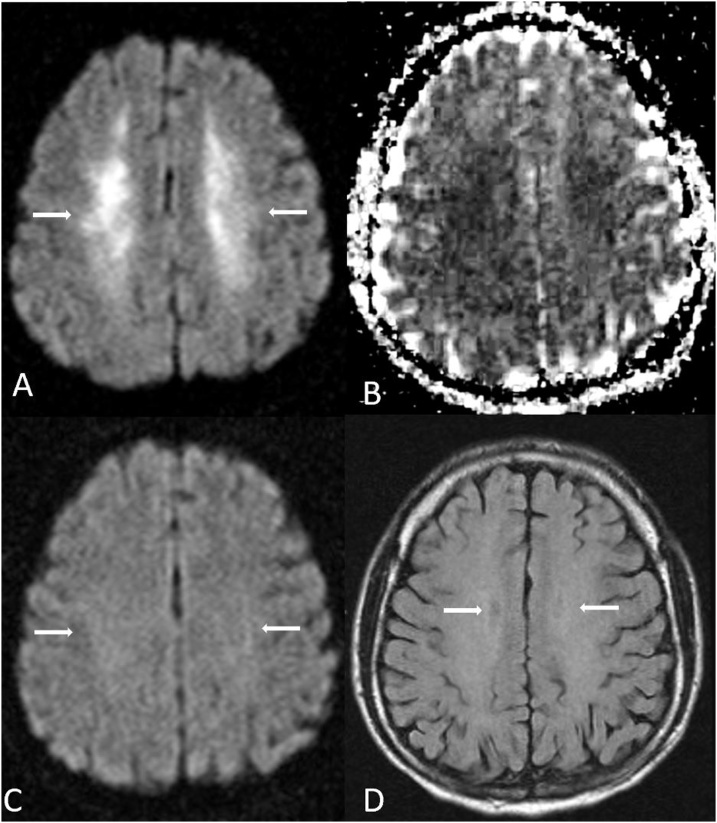 Fig. 8