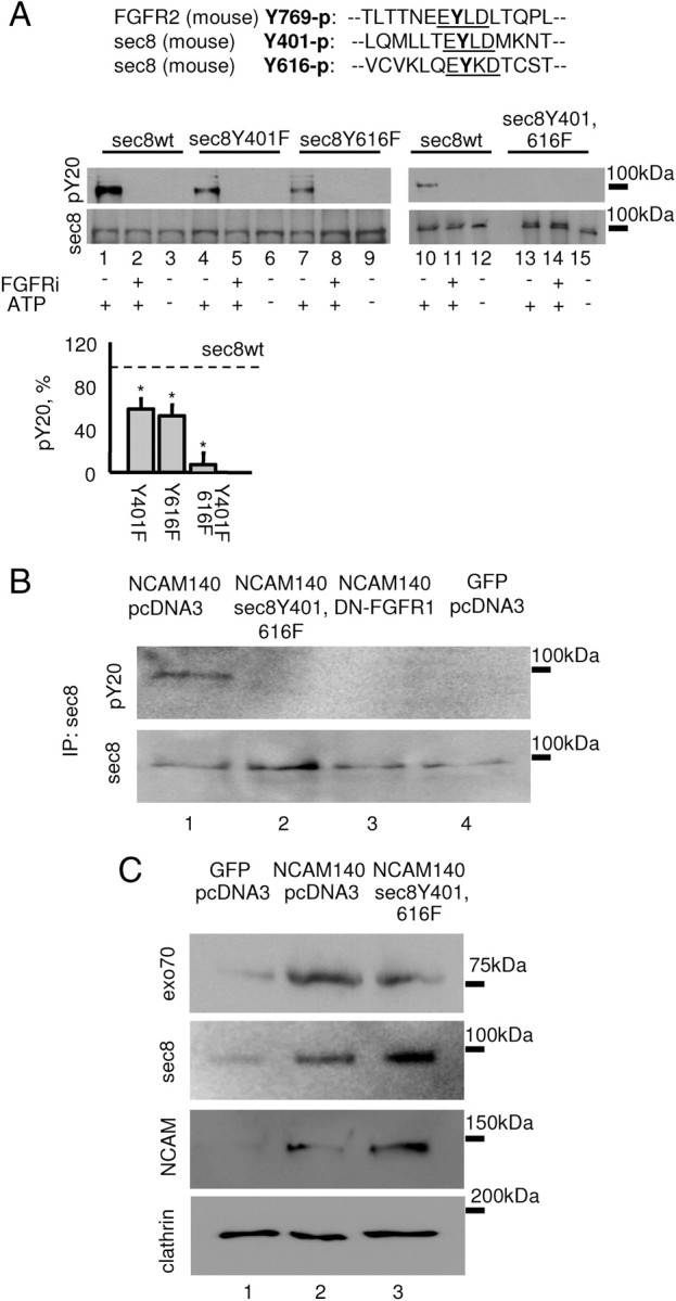 Figure 7.