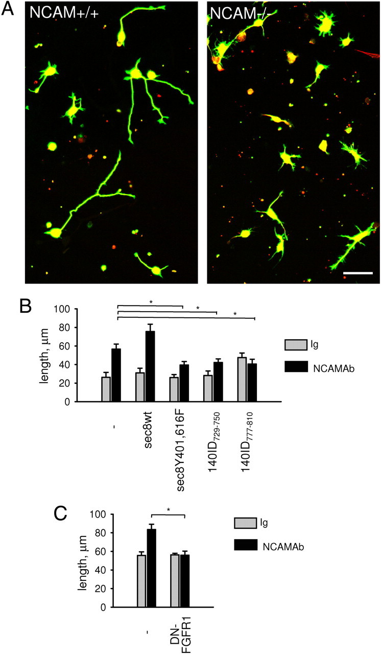 Figure 10.